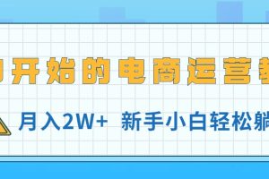 (11081期)从0开始的电商运营教学,月入2W+,新手小白轻松躺赚