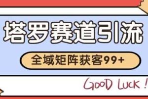 小红书某音塔罗赛道引流获客 自热矩阵日引200+【揭秘】