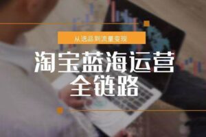 （15160期）淘宝蓝海运营全链路，从选品到流量变现，小类目突围完整方案