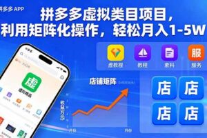 （16025期）拼多多虚拟类目项目，利用矩阵化操作，轻松月入1-5W