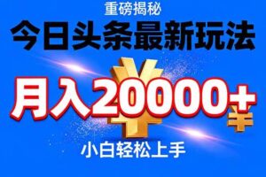 (17112期)今日头条代运营最新玩法,轻轻松松月入20000+