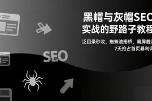 (17125期)黑帽与灰帽SEO实战的野路子教程:泛目录秒收,蜘蛛池搭桥,霸屏截流,7天抢占首页暴利词